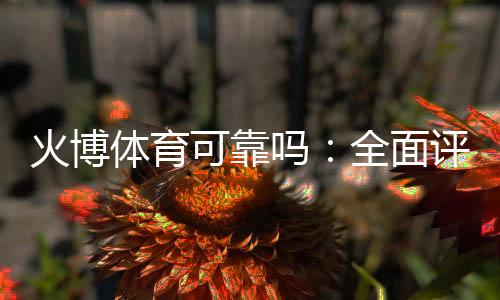 火博体育可靠吗：全面评估投注安全风险