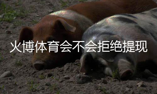 火博体育会不会拒绝提现:真实玩家经历报道