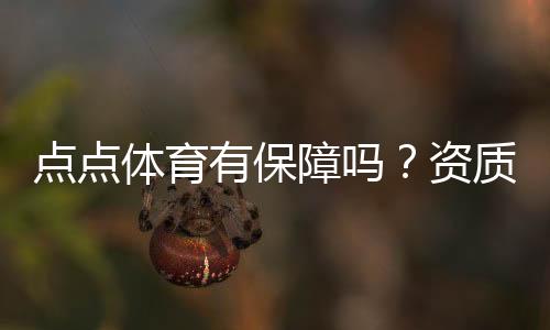 点点体育有保障吗?资质、安全、支付与用户评价全面解析