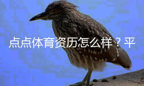 点点体育资历怎么样?平台资质、监管与用户口碑全面评测