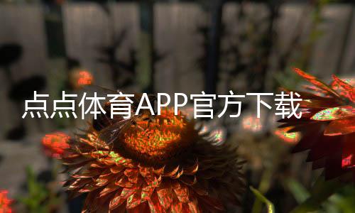 点点体育APP官方下载通道:官方直达下载、最新版安装步骤与常见问题解答