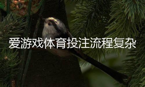 爱游戏体育投注流程复杂吗？新手一看就懂的操作流程与注意事项