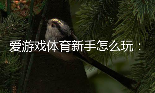爱游戏体育新手怎么玩:完整入门攻略与常见玩法详解