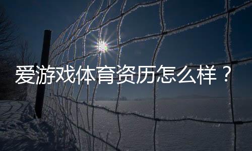 爱游戏体育资历怎么样?2026年平台资质、监管与安全全面解析