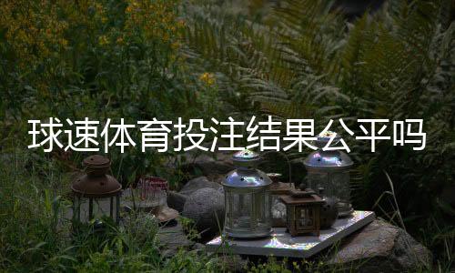 球速体育投注结果公平吗?深度解析平台公正性与玩家实测反馈