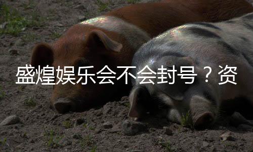 盛煌娱乐会不会封号?资深玩家揭秘账号安全与防封技巧