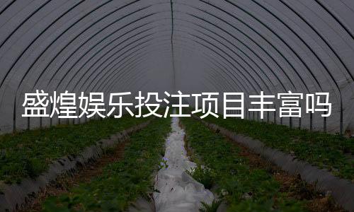 盛煌娱乐投注项目丰富吗?深度解析平台游戏种类与特色玩法