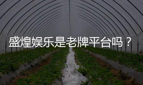 盛煌娱乐是老牌平台吗?资深玩家带你揭秘其历史与实力