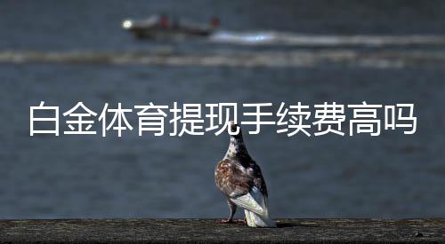 白金体育提现手续费高吗?:投注玩家的疑问