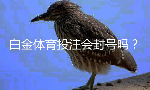 白金体育投注会封号吗?专家揭秘