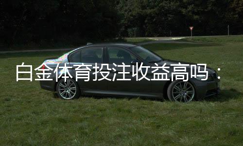 白金体育投注收益高吗:经验分享