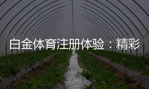 白金体育注册体验:精彩棋牌娱乐风采