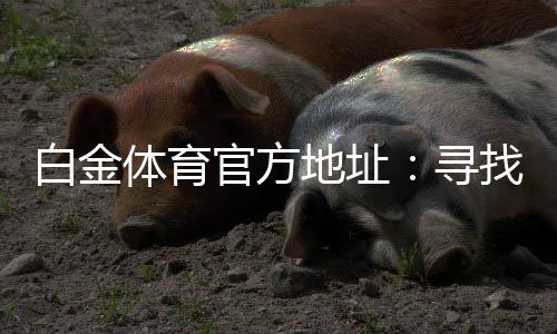 白金体育官方地址:寻找最佳投注体验