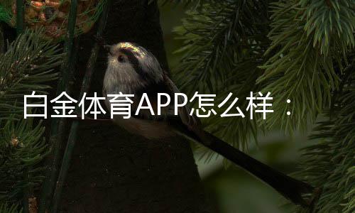 白金体育APP怎么样:专业玩家亲身体验