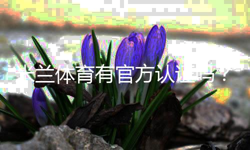 米兰体育有官方认证吗?权威资质真伪与安全性全面解析