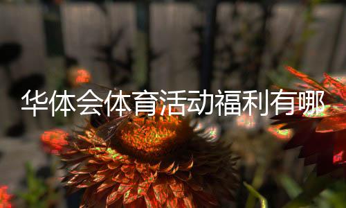 华体会体育活动福利有哪些?新手领取攻略与常见注意事项全面解析