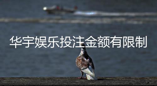 华宇娱乐投注金额有限制吗?详细解析平台充值规则与上限