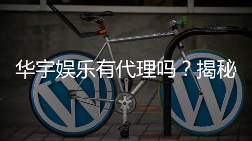 华宇娱乐有代理吗?揭秘代理加盟条件与流程