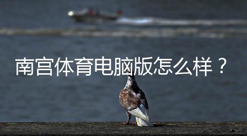 南宫体育电脑版怎么样?安装体验、功能亮点与安全性全面评测