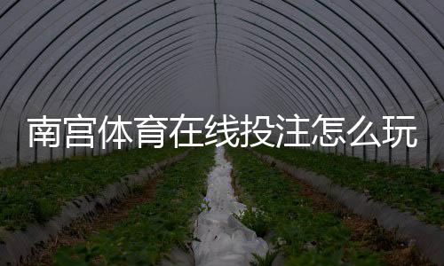 南宫体育在线投注怎么玩?新手必看玩法规则与安全上手指南