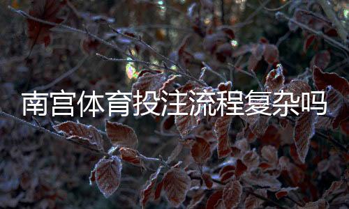 南宫体育投注流程复杂吗？新手必看：注册、充值与投注全流程详解