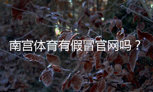 南宫体育有假冒官网吗?官方真伪鉴别与防骗全攻略