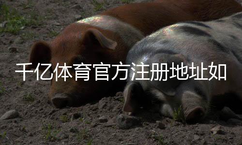 千亿体育官方注册地址如何选择最优平台?