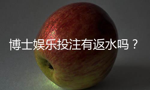博士娱乐投注有返水吗?揭秘平台返水政策与实战技巧