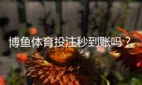 博鱼体育投注秒到账吗？充值与提现到账时间、延迟原因和解决办法详解