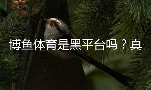 博鱼体育是黑平台吗？真实用户投诉、平台资质与提现体验全面评测