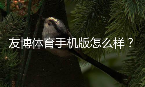 友博体育手机版怎么样?功能、玩法、安全性与真实用户体验全面评测