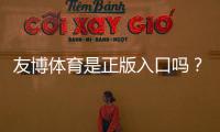 友博体育是正版入口吗？官方真假辨别与安全登录指南