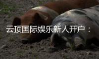 云顶国际娱乐新人开户：轻松注册享首存礼金与独家优惠