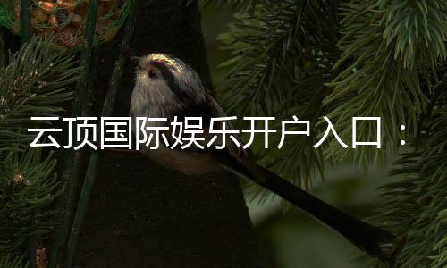 云顶国际娱乐开户入口:轻松注册畅享顶级棋牌电游盛宴