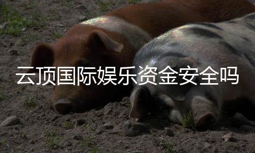 云顶国际娱乐资金安全吗?资深玩家解析平台保障措施