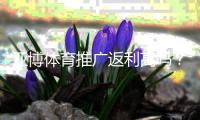 亚博体育推广返利高吗？真实返利比例、佣金计算与提升技巧解析