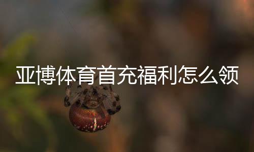 亚博体育首充福利怎么领取?新手领取教程与注意事项全解析