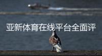 亚新体育在线平台全面评测与新手使用指南：注册、充值、玩法与安全攻略