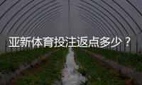 亚新体育投注返点多少？最新返点比例、计算方法与领取攻略