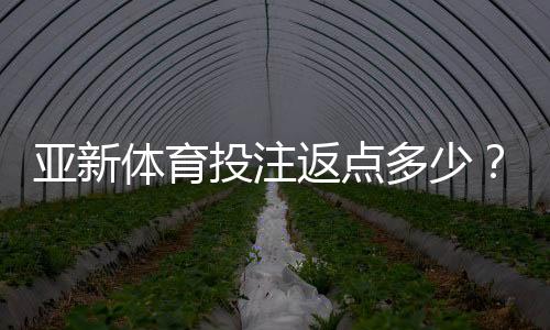 亚新体育投注返点多少?最新返点比例、计算方法与领取攻略
