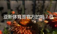 亚新体育是官方的吗？真伪鉴别与平台安全性全面解析