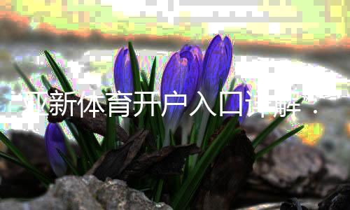 亚新体育开户入口详解:新手注册流程与安全验证全攻略
