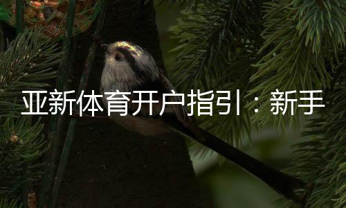 亚新体育开户指引:新手注册流程、实名认证与常见问题全攻略