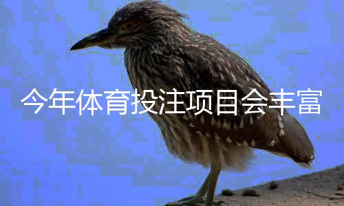 今年体育投注项目会丰富吗?热门玩法、平台趋势与新手攻略