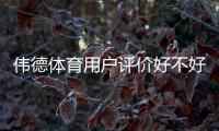 伟德体育用户评价好不好？真实口碑、优缺点与新手注意事项详解
