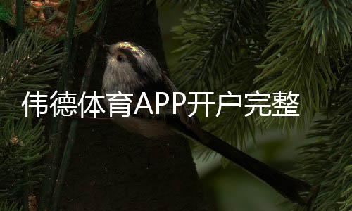 伟德体育APP开户完整教程:新手注册步骤、实名认证与安全注意事项