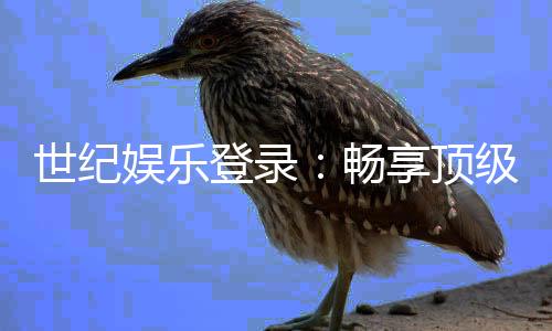 世纪娱乐登录:畅享顶级棋牌电游的尊贵体验