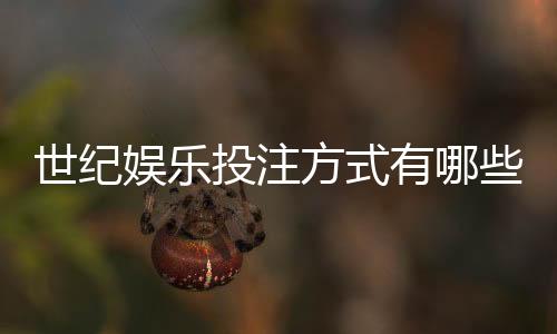 世纪娱乐投注方式有哪些?全面解析主流玩法与技巧