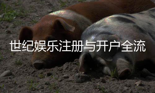 世纪娱乐注册与开户全流程:新手必看的详细图文指南