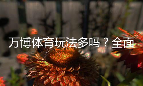 万博体育玩法多吗?全面解析玩法种类、规则与新手投注技巧